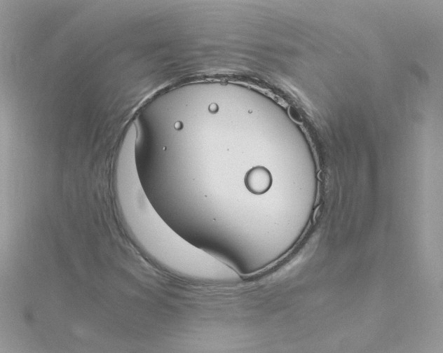 X0000115481353200911271320