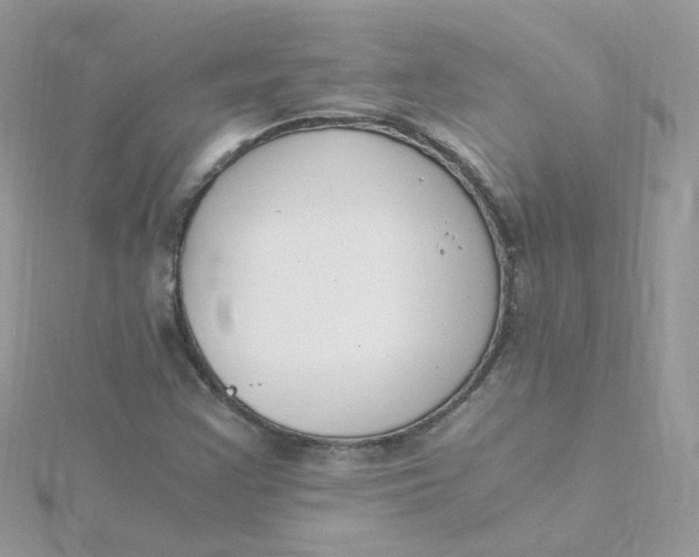 X0000115481355200911271320