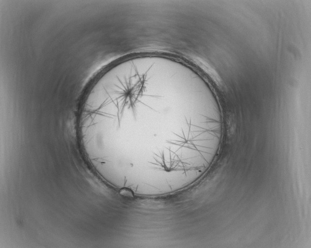 X0000115481356200911271320