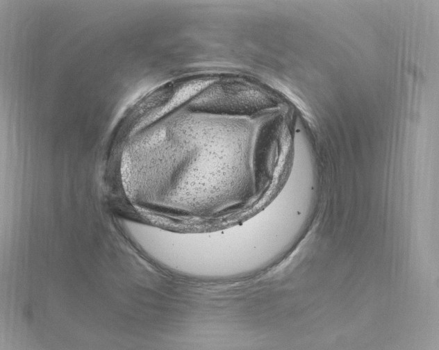 X0000115481357200911271320