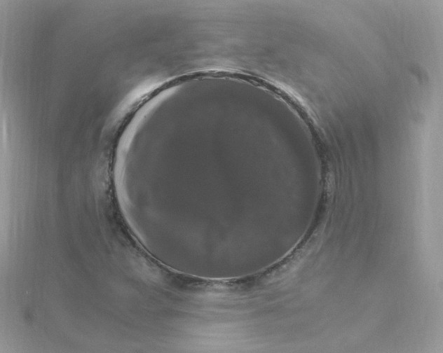 X0000115481359200911271320