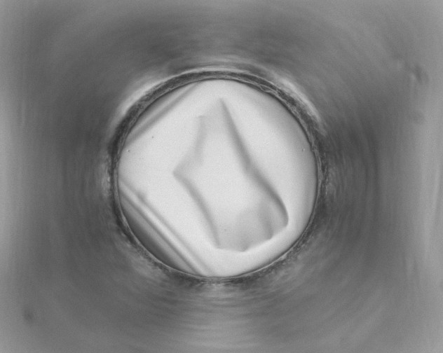 X0000115481360200911271320