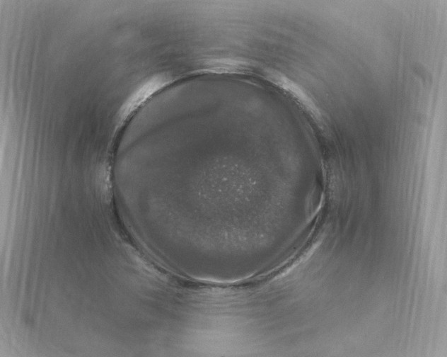 X0000115481362200911271320