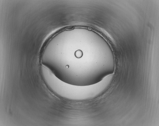 X0000115481364200911271320