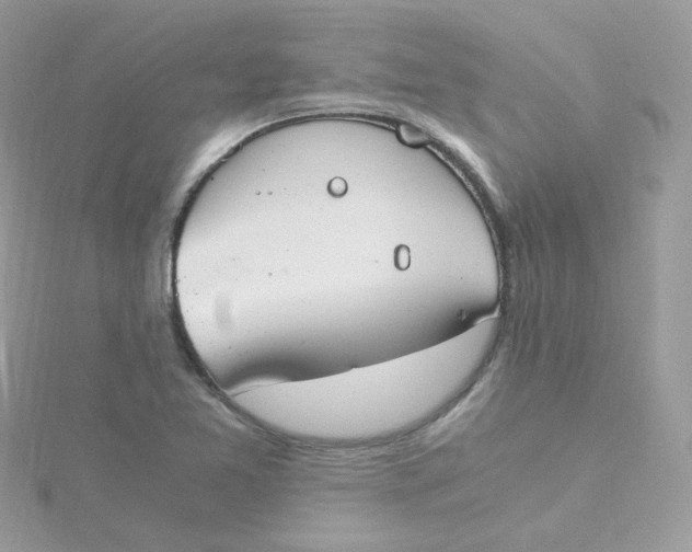 X0000115481365200911271320