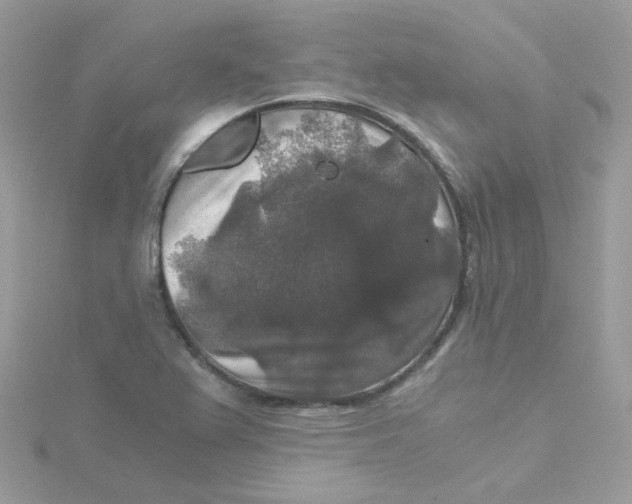 X0000115481367200911271320