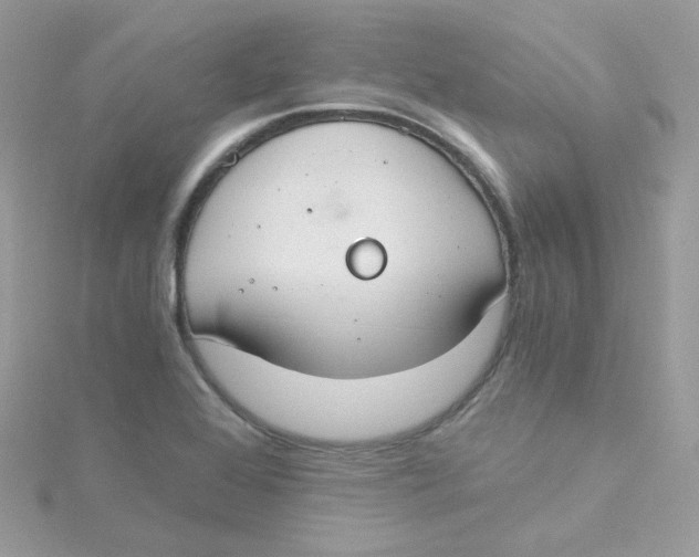 X0000115481368200911271319