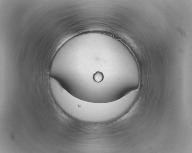 X0000115481369200911271319