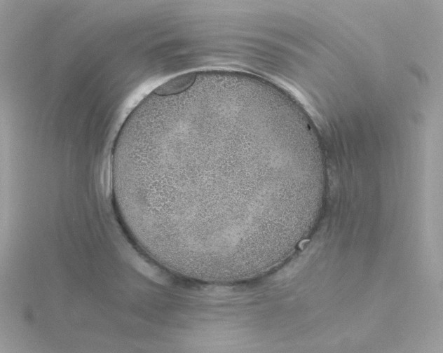 X0000115481371200911271319