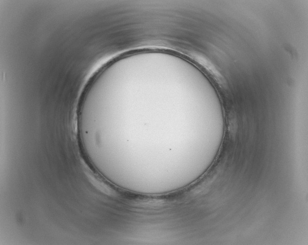 X0000115481372200911271319