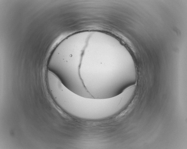 X0000115481373200911271319