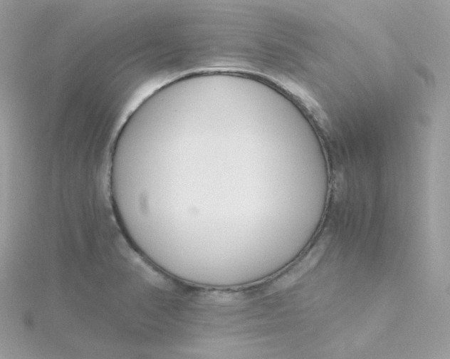 X0000115481374200911271319