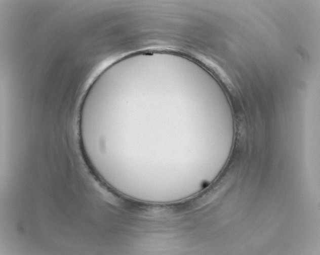 X0000115481375200911271319