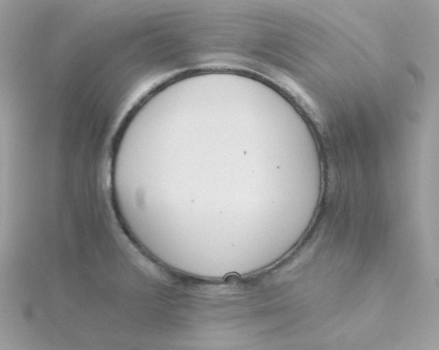 X0000115481376200911271319