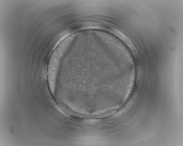 X0000115481377200911271319