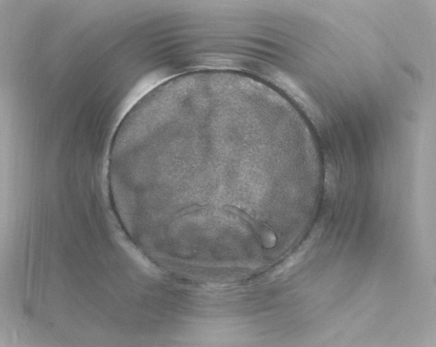 X0000115481378200911271319