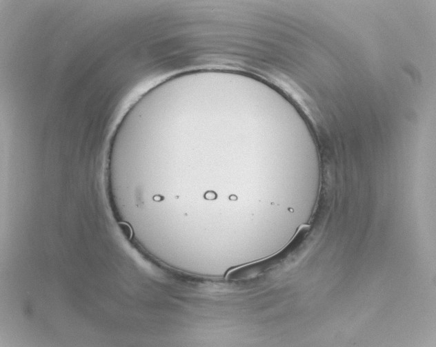 X0000115481379200911271319