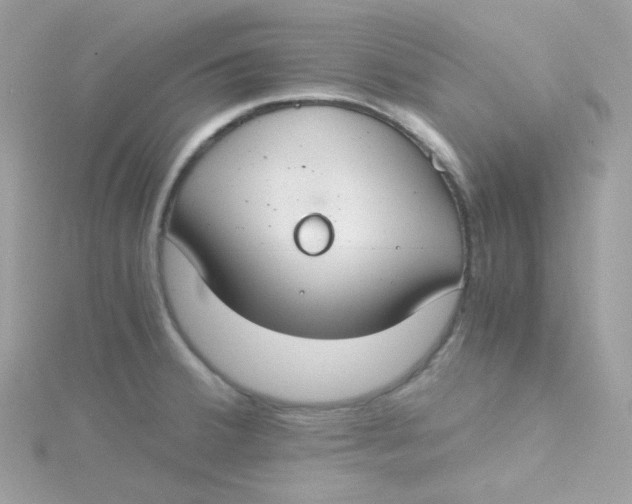 X0000115481380200911271319