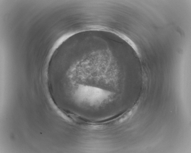 X0000115481381200911271319