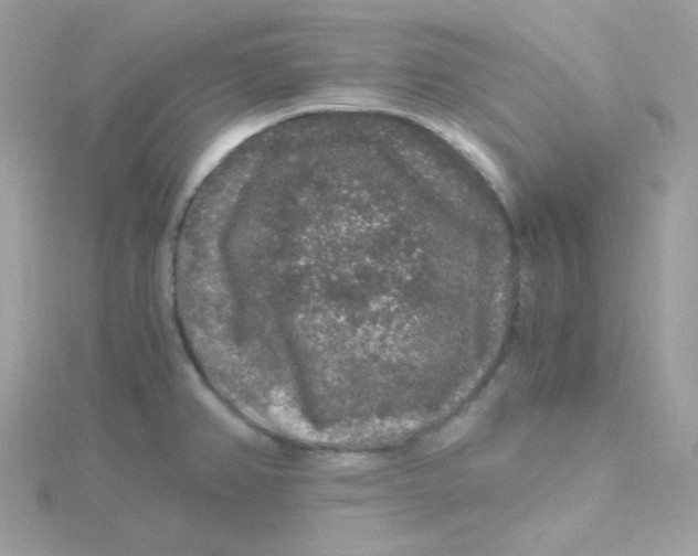 X0000115481382200911271319