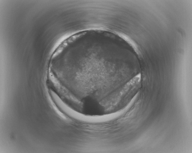 X0000115481383200911271319