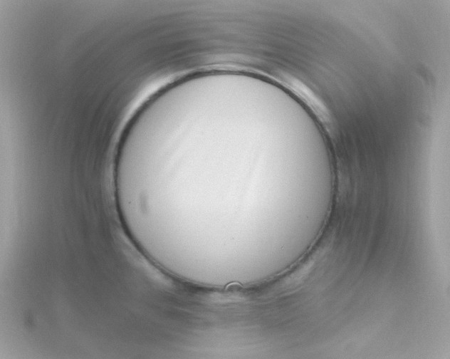 X0000115481384200911271319