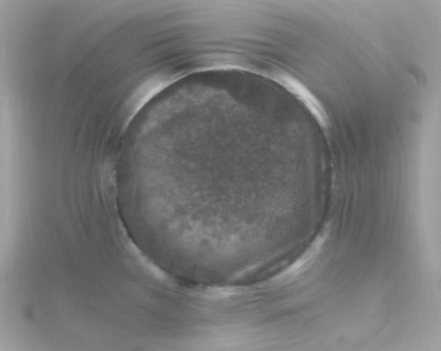 X0000115481385200911271319