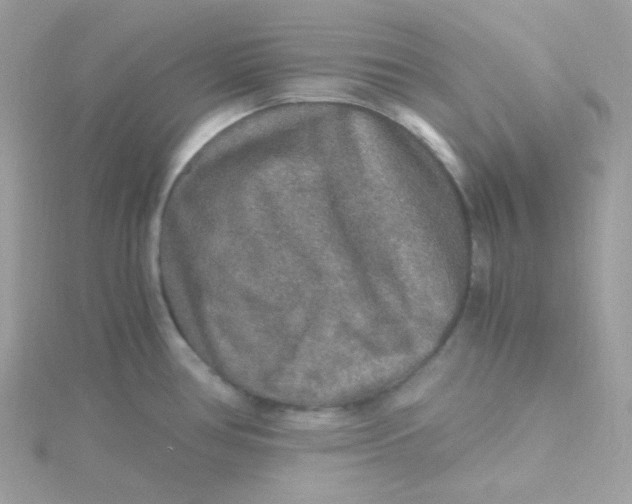 X0000115481386200911271319