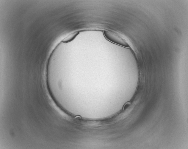 X0000115481387200911271319