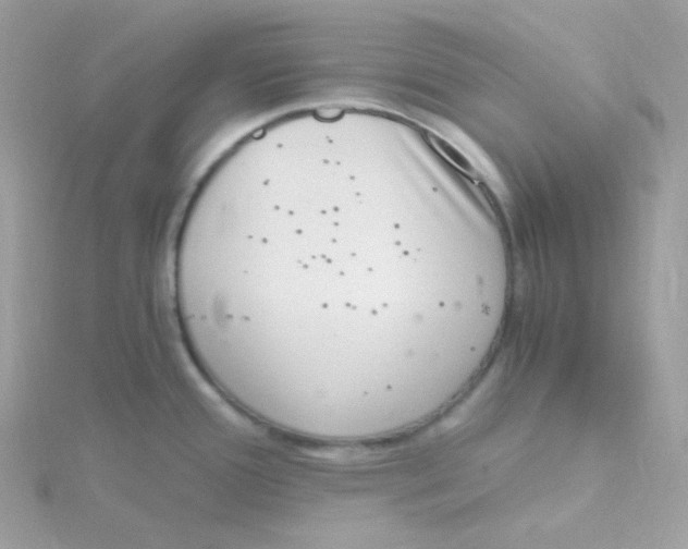 X0000115481388200911271319