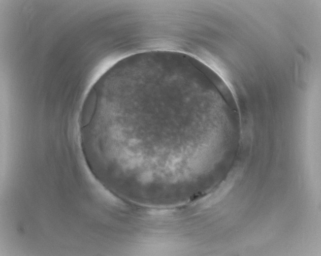 X0000115481389200911271319