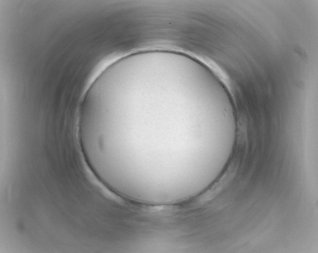 X0000115481390200911271319