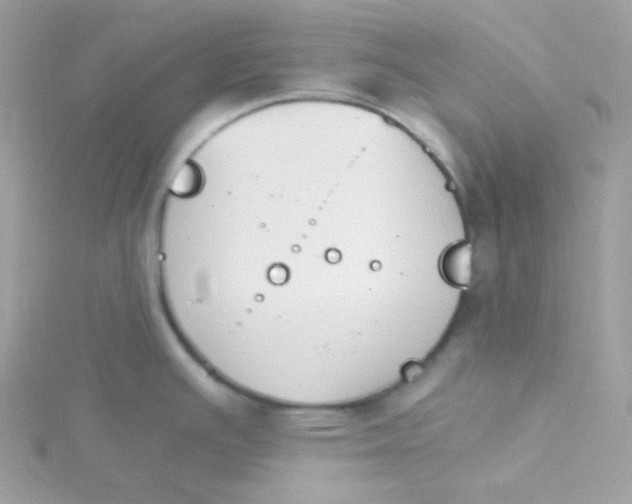 X0000115481391200911271319