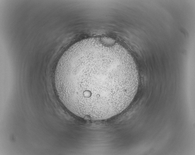 X0000115481393200911271319