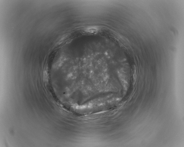 X0000115481394200911271319