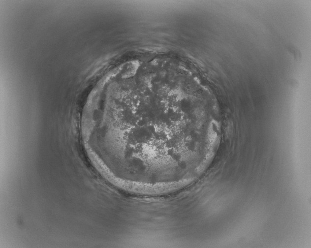 X0000115481397200911271319