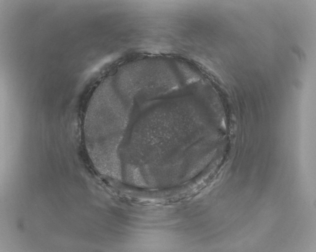 X0000115481398200911271319