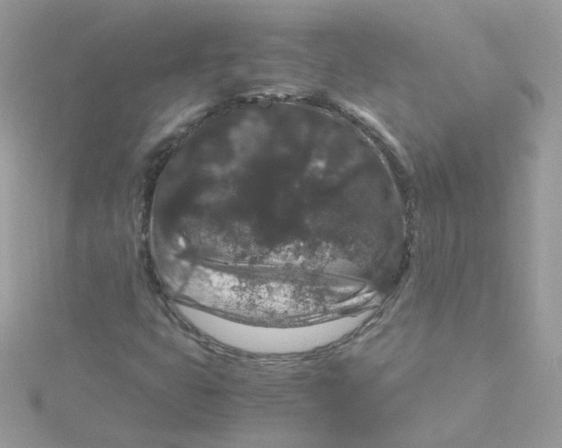 X0000115481399200911271319