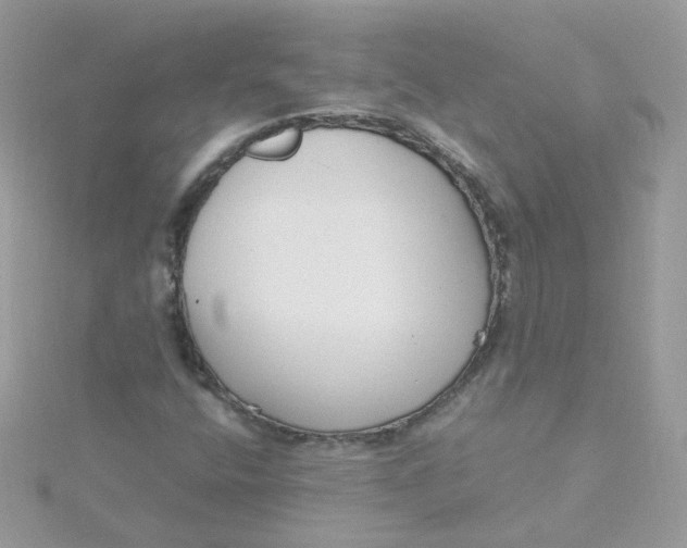 X0000115481400200911271319