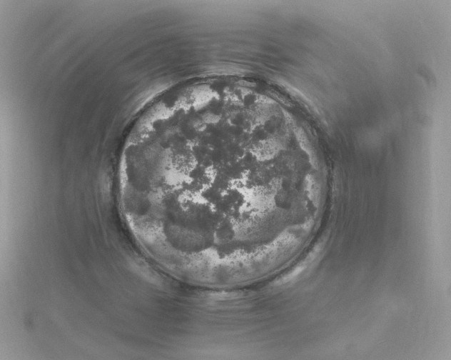 X0000115481401200911271319