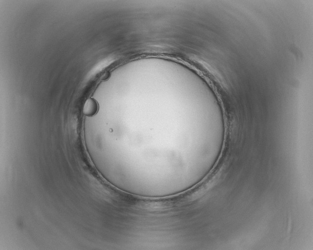 X0000115481402200911271319