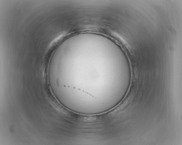 X0000115481403200911271319