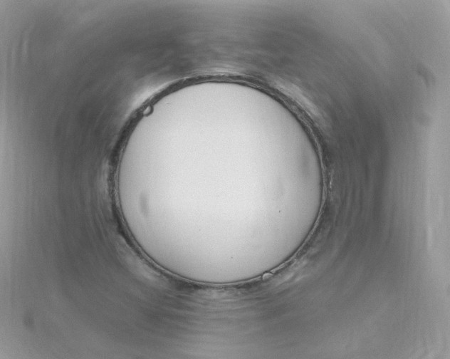 X0000115481404200911271319