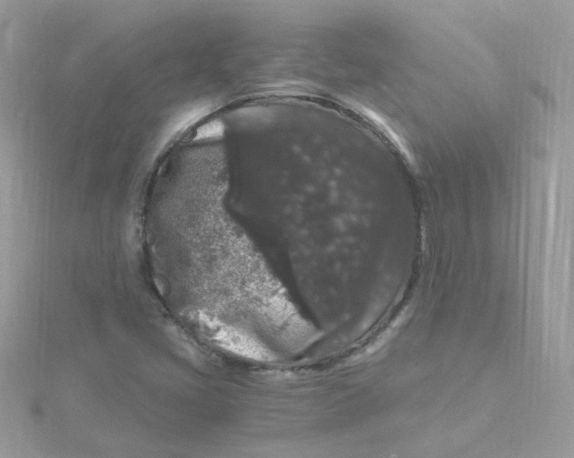 X0000115481405200911271319