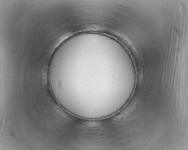 X0000115481409200911271319