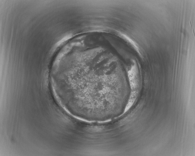 X0000115481411200911271319