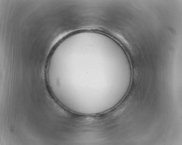 X0000115481412200911271319