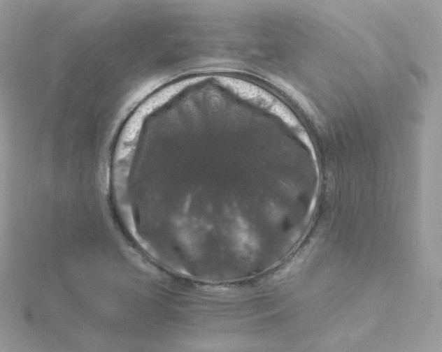 X0000115481413200911271319