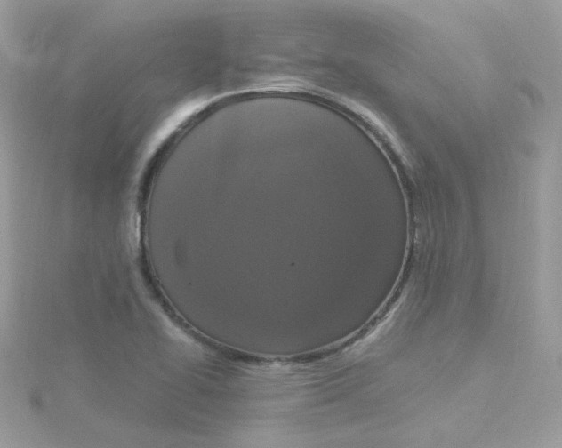 X0000115481414200911271319