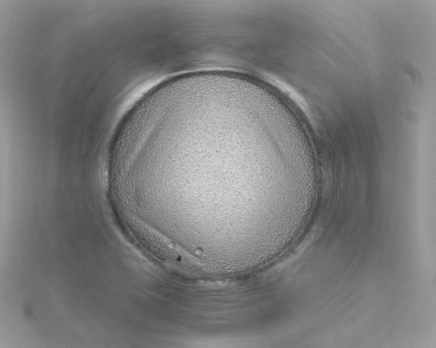 X0000115481415200911271319